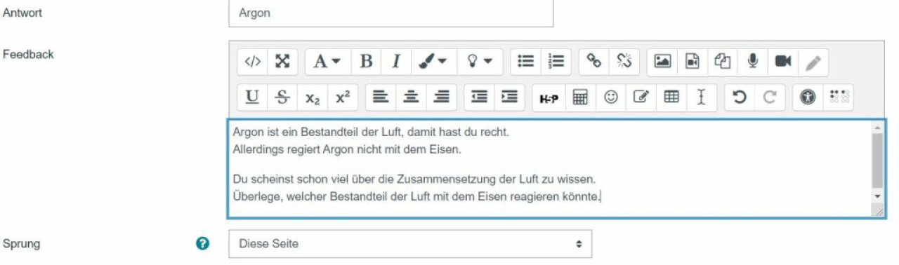 Screenshot einer Feedbackschleife in der Lernplattform Moodle.